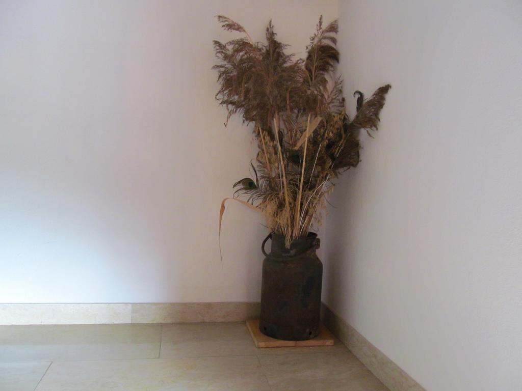 Appartement Weingut Schoberhof Bad Gleichenberg Rum bild