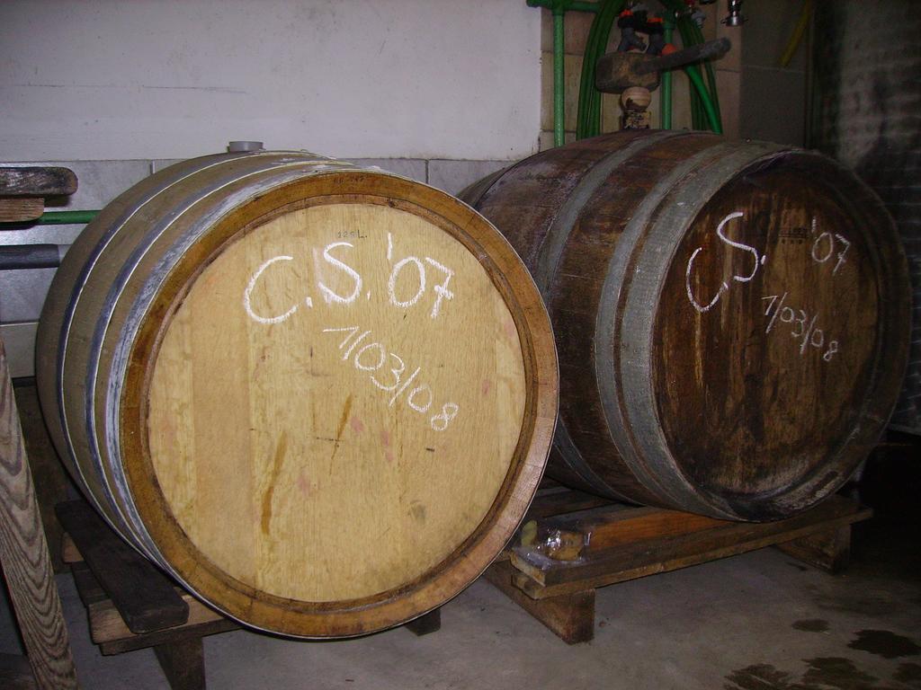 Appartement Weingut Schoberhof Bad Gleichenberg Rum bild