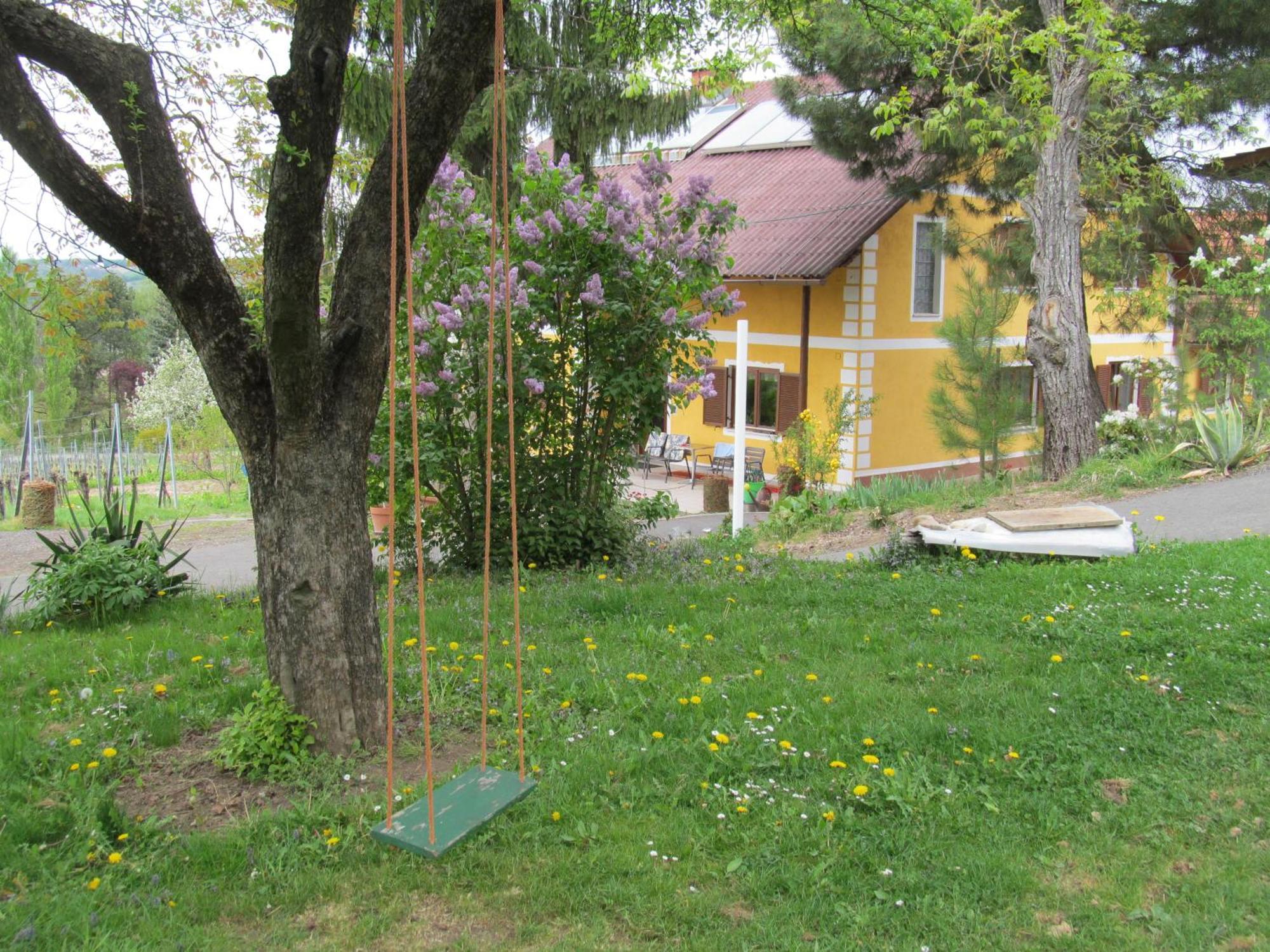 Appartement Weingut Schoberhof Bad Gleichenberg Exteriör bild